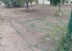 В Камышине чиновники каждый день пишут, что произошло в мире, - лучше пишите свой отчёт о работе за день! - камышанка