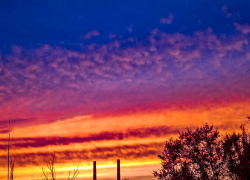 Какую программу наметили в Камышине для "Ночи искусств"