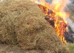В Камышинском районе сгорел стог сена, никто не пострадал