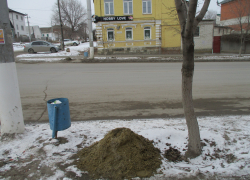 Деревья на улице Пролетарской в Камышине рискуют получить дозу отравления при весеннем паводке: их "удобрили" песко-соляными кучами