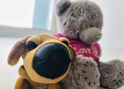 Трехлетний мальчик разбился насмерть, выпав из окна 3-го этажа, - "Блокнот Волжского"