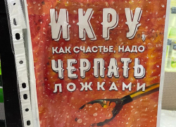 Депутаты Волгоградской Облдумы за бюджетные деньги уехали на курорт, - портал "Остров Свободы"