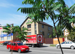 Водительские права для камышан подорожают в три раза с 1 сентября 