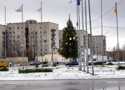 В Камышине установили елку на площади Героя России Александра Колгатина