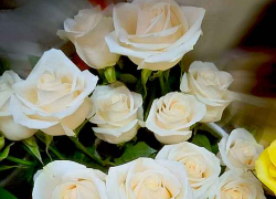 Расписывалась пара в загсе Камышинского района скромно, без гостей: жениху - опять на передовую... 