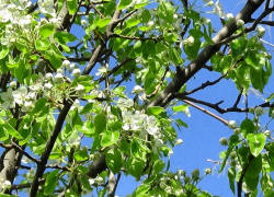 Мощная магнитная буря накрыла Волгоградскую область