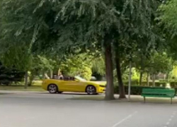 Московская блогерша заехала в Волгограде в парк на желтом кабриолете (ВИДЕО)