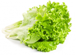 "Золотыми" по цене в конце ноября оказались в Камышине обыкновенные листья салата