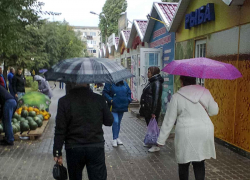 Камышин на полдня накрыл осенний дождь