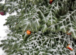 В Волгоградской области запретили новогодние фейерверки