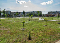 В Камышине парк Текстильщиков поливают "дождиками"