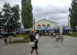 Коронавирус косит камышан и жителей всей Волгоградской области