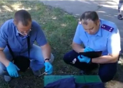 СК: подробности с места расследования кровавой бойни в Новоаннинском (ВИДЕО)