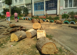 Не прошло и года, как в  Камышине на 3-м городке решили убрать уродливые "столбы" спиленных тополей
