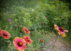 Население города размером с Фролово умерло в Волгоградской области, - "Блокнот Волгограда"
