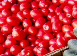 В Волгоградской области взметнулись в цене яйца, помидоры и огурцы 