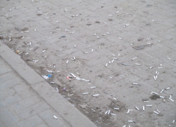 В Камышине посетители киберспортивного  клуба, может, и не хотят свинячить на улице, но им приходится