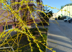 Западный ветер "надует" холодный дождь в Камышине, но он пойдет не сегодня, а завтра