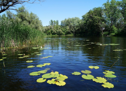 Среди камышан появилась первая в этом купальном сезоне смертельная жертва реки