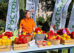 Фестиваль местных продуктов впервые проходит в Волгоградской области