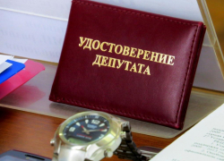 Будет ли у Камышина второй депутат в Волгоградской областной думе, станет ясно только 25 сентября