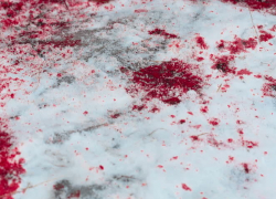 В Камышине журналисты собирают по крохам информацию о стрельбе и кровавых следах на снегу, полиция обещает комментарий позже