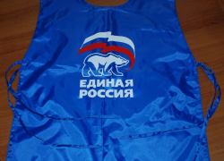 В Камышине уже порядка 600 избирателей проголосовали досрочно