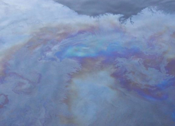 АО "РИТЭК" заплатит за аварию на нефтепроводе в Камышинском районе под Таловкой