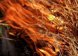 Едва просохнув от потопа, Камышин стал гореть из-за бытового мусора и старой травы