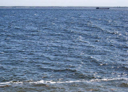 Смельчак из Камышина переплыл Волгу