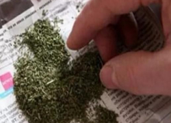 В Камышине в разных частях города за день арестовали двоих торговцев марихуаной