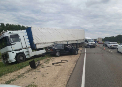 На московской трассе столкнулись четыре машины, в том числе фуры и микроавтобус
