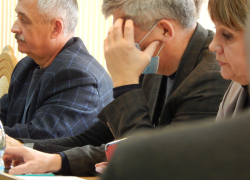 Камышинская городская дума перестала заседать из-за коронавируса