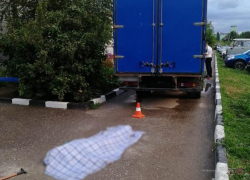 В сводку смертельных ДТП попал наезд фургона на пенсионерку