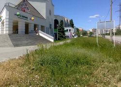 Волгоградский политолог предсказал принудительную продажу облигаций и акций населению, - "Блокнот Волгограда"