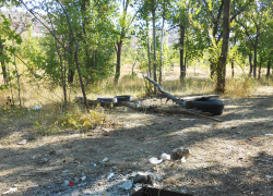 Разгонит кто-нибудь пьяниц от парка Текстильщиков, с их ржавой "мангальной поляны"? - камышанка