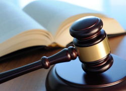 Школьника из Петрова Вала, укравшего у деда ружье на продажу, будут судить