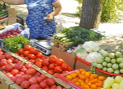 Администрация Камышина проинформировала горожан, что спорный рынок у бывшей "Победы" - сезонная  сельхозярмарка