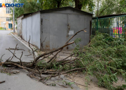 В соседнем с Камышинским - Ольховском районе шквалистым ветром сносило крыши и рвало провода