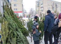 Продавцы елок в Камышине на "копейки" снизили цену, но торговля немного оживилась