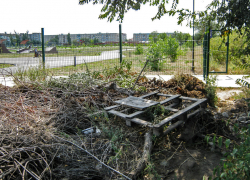 В Камышине из нового парка мусор выбрасывают в старый? - камышанка