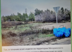 Недавно избранная глава Камышинского муниципального района Елена Береговая показала себя в телеграм-канале хорошей информационщицей