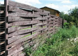 Дровосек из Камышинского района может угодить под суд из-за намерений огородиться забором из срубленных деревьев 