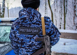В Камышине росгвардейцы задержали грабителя, похитившего алкоголь из супермаркета