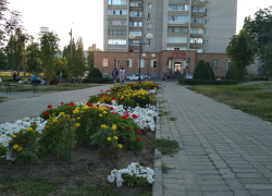 Озеленители Камышина сохранили до осени яркие клумбы на Каштановой аллее