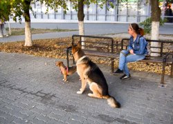 По поводу странностей квадроберов высказались даже в Кремле
