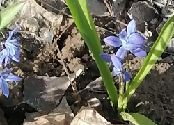 Солнечная свежесть: погода в Камышине 3 апреля