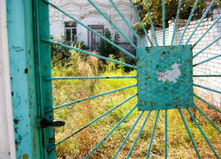 Интересуюсь, что за заросший пустырь образовался за воротами бывшего помещения горспорткомитета Камышина? - камышанин