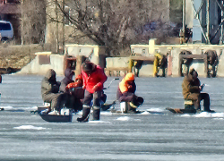 Южный ветер "надует" 14 градусов тепла завтра, 12 марта, в Камышине