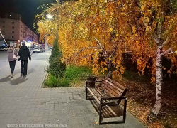 Еще одна жертва "принесена" камышанами беспощадному вирусу